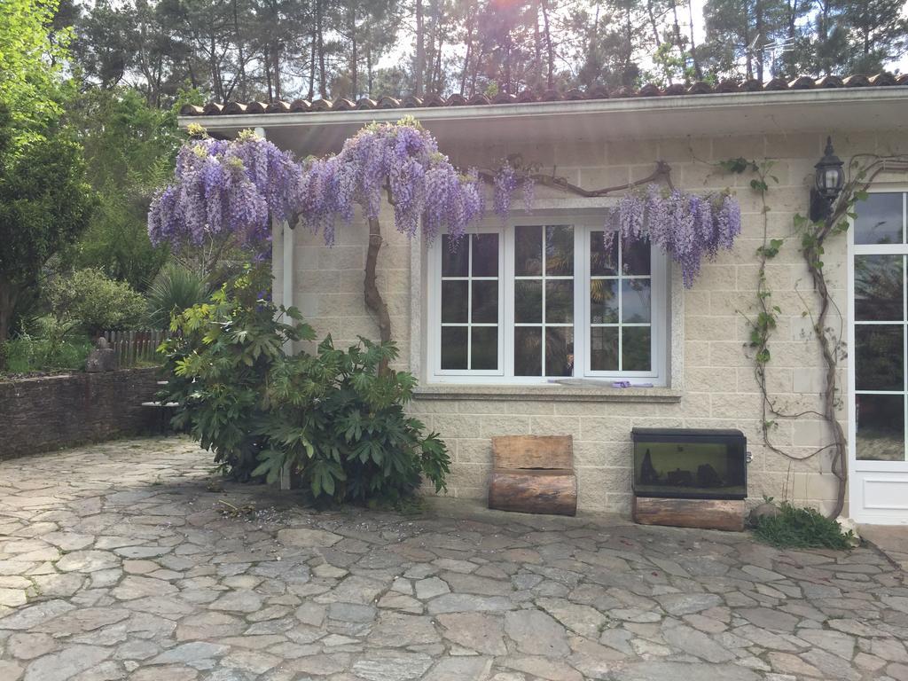 테오 Agro Da Gandarela B&B 외부 사진